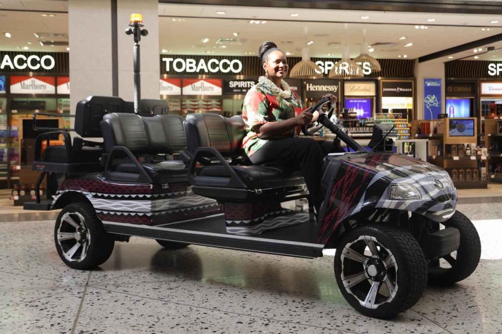 Electric Courtesy Carts