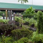 Gardens at Hilo International Airport